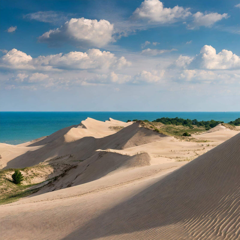 Sandy beaches and rolling dunes at Indiana Dunes National Park, Indiana.