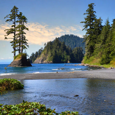 Explore Olympic National Park Vacation keepsake Souvenirs