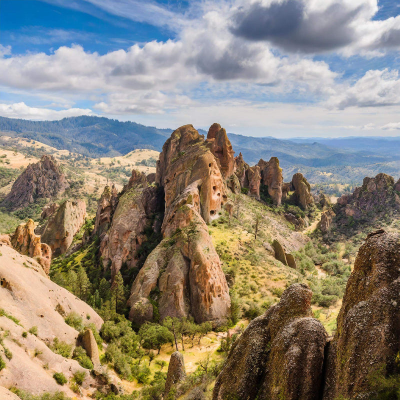 Pinnacles National Park Vacation Souvenir 