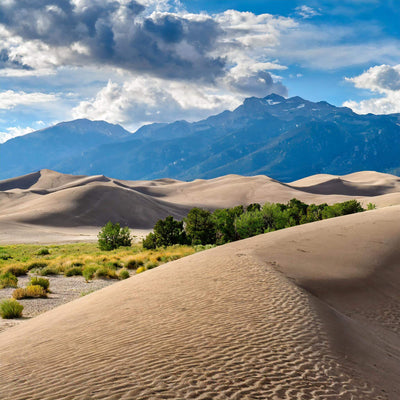 sand dunes under clear skies at Great Sand Dunes National Park, Colorado