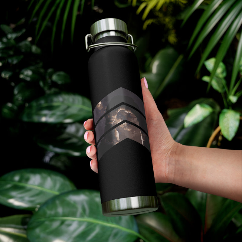 Image of a stainless steel water bottle featuring a design from Arches National Park in Utah.