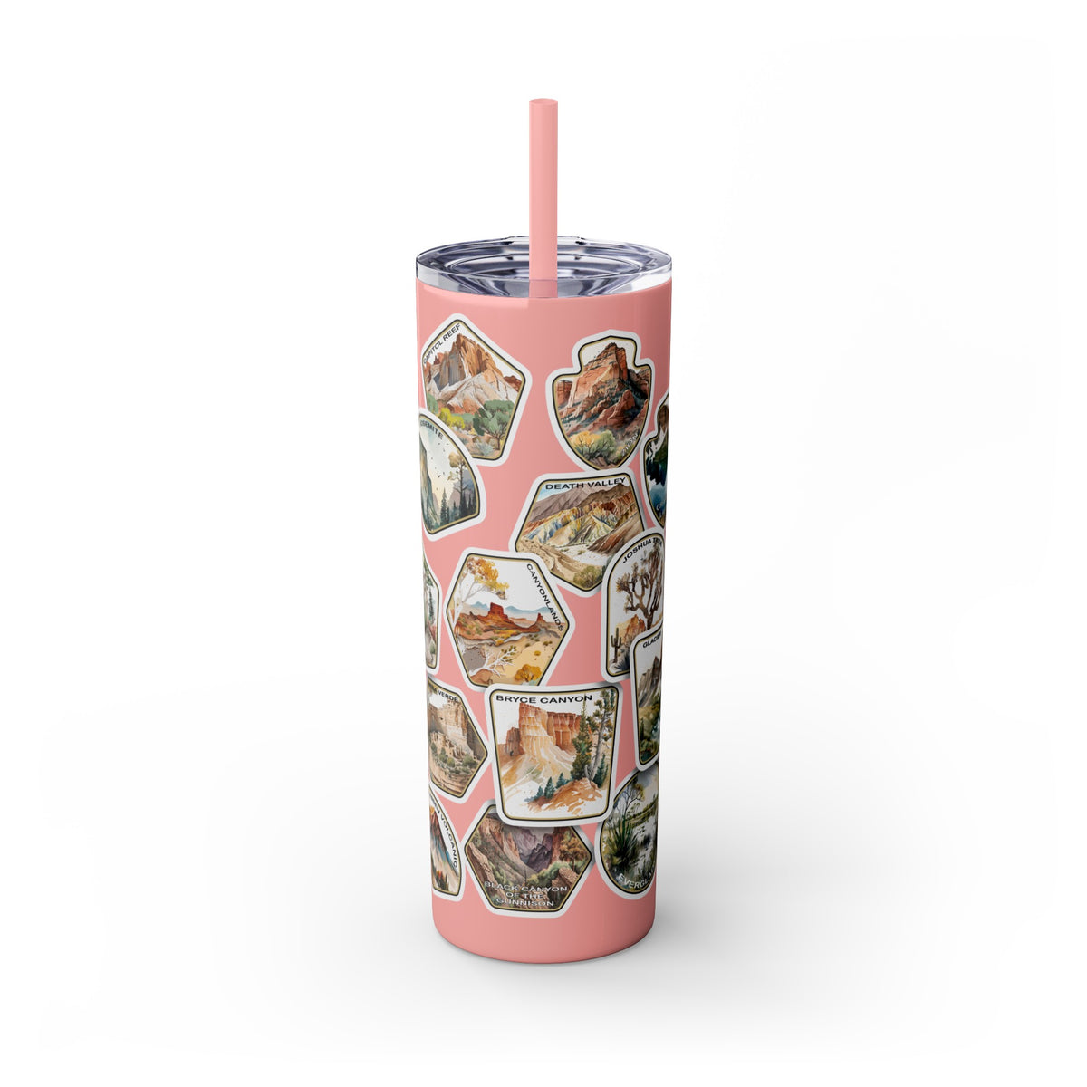 National Park Stamps Skinny Tumbler with Straw, 20oz