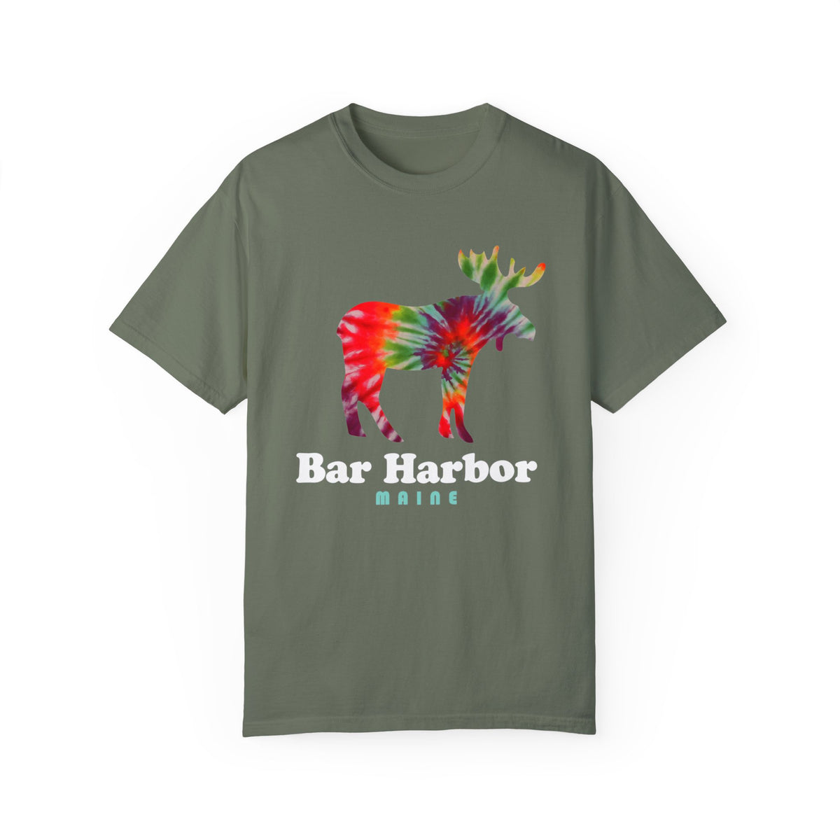 Acadia Bar Harbor Maine Souvenir Tee with Moose Graphic