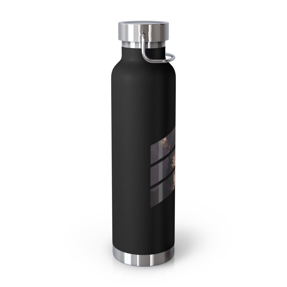 Image of a stainless steel water bottle featuring a design from Arches National Park in Utah.