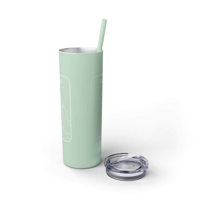 Arches National Park Skinny Tumbler with Straw, 20oz