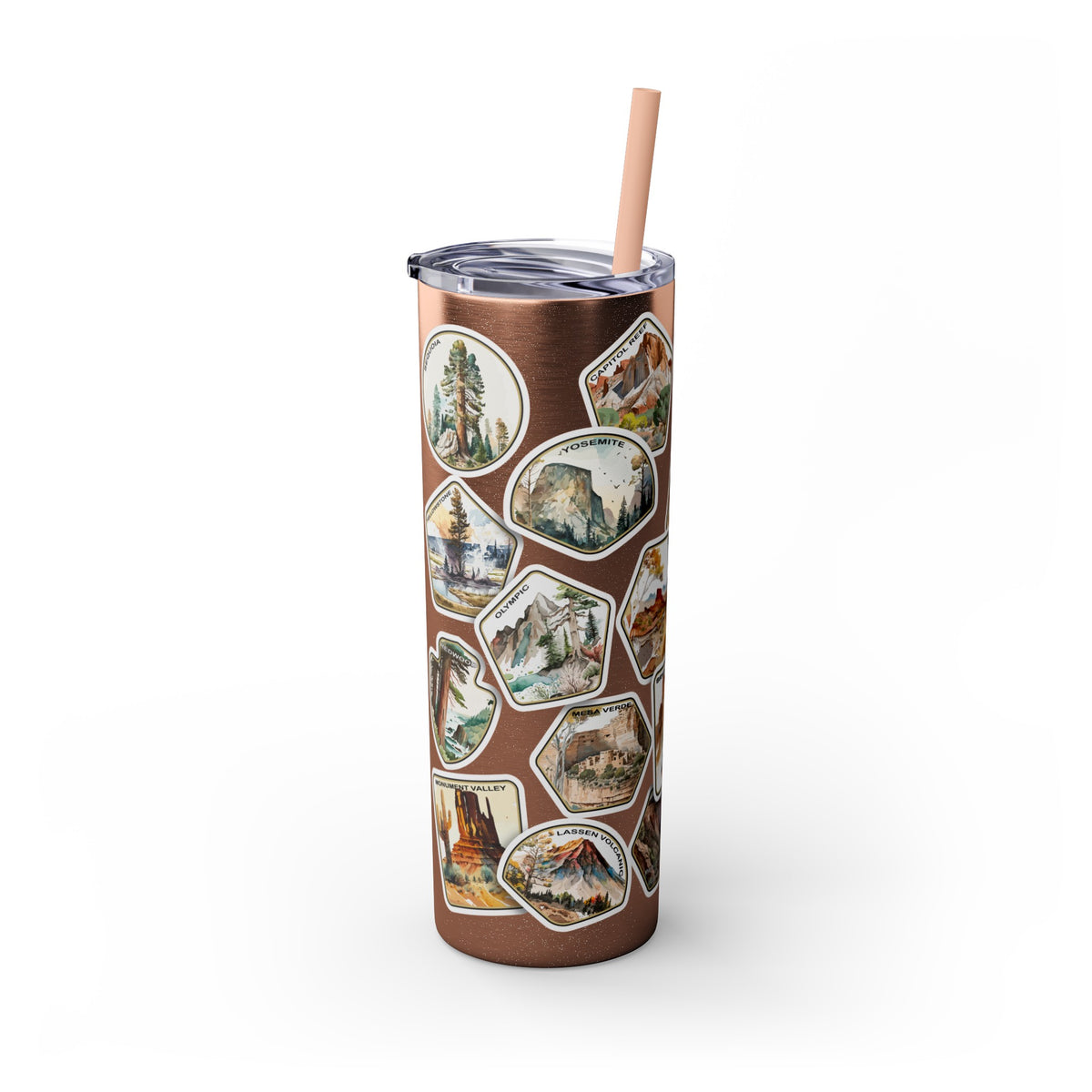 National Park Stamps Skinny Tumbler with Straw, 20oz