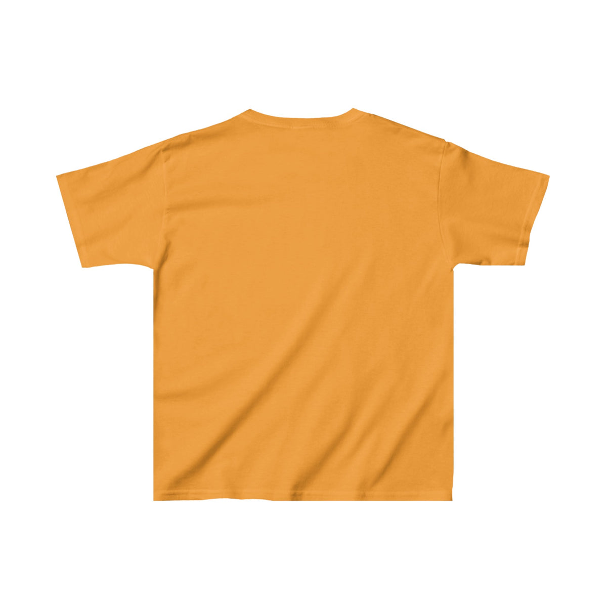 Kids Gates of the Arctic National Park Heavy Cotton™ Tee