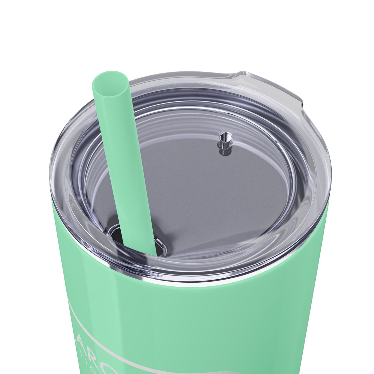 Arches National Park Skinny Tumbler with Straw, 20oz