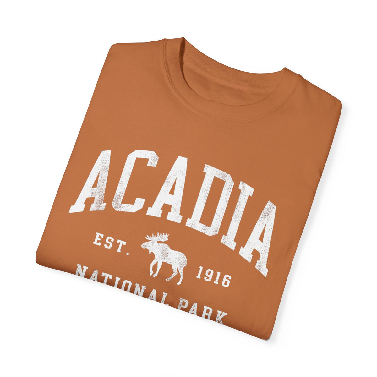 Acadia National Park Moose Souvenir Tee