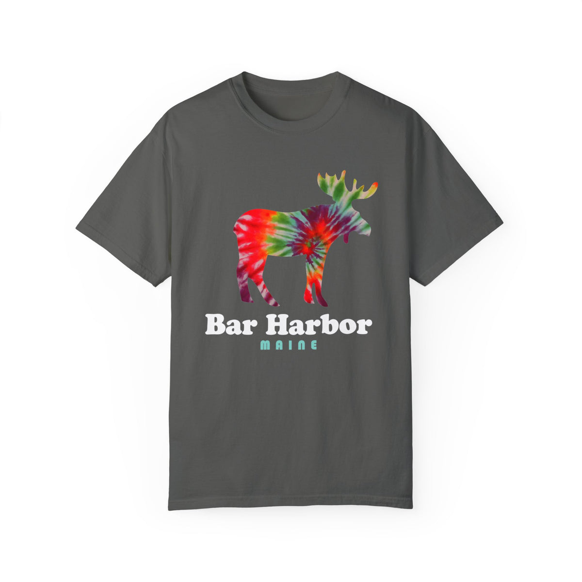 Acadia Bar Harbor Maine Souvenir Tee with Moose Graphic