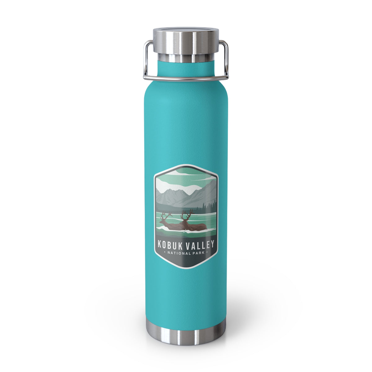 Mint green stainless steel water bottle with a scenic design of Kobuk Valley National Park.