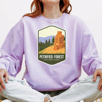 Petrified Forest National Park Unisex Sweatshirt