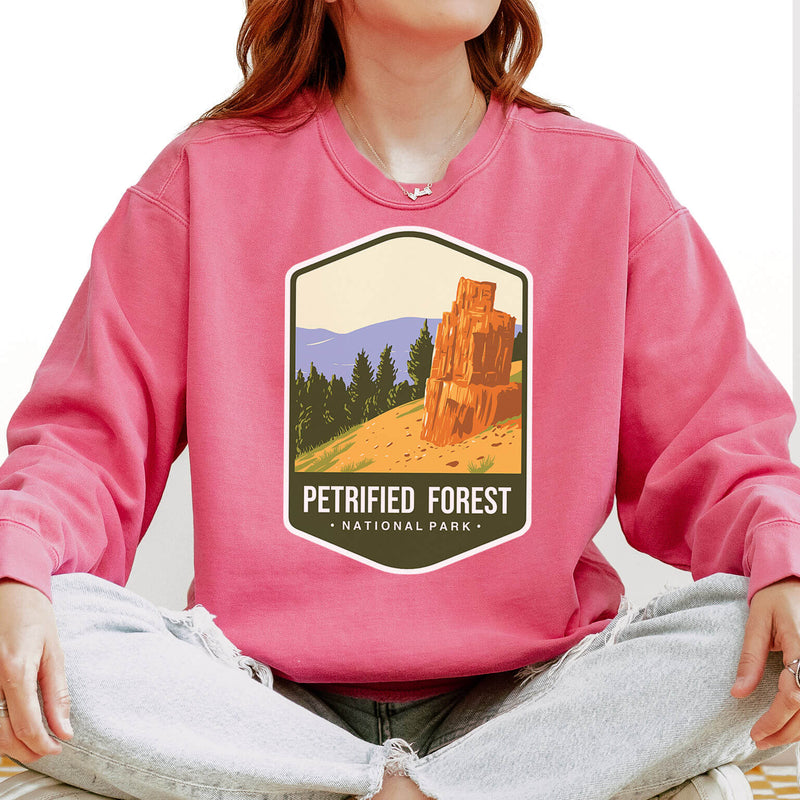 Petrified Forest National Park Unisex Sweatshirt